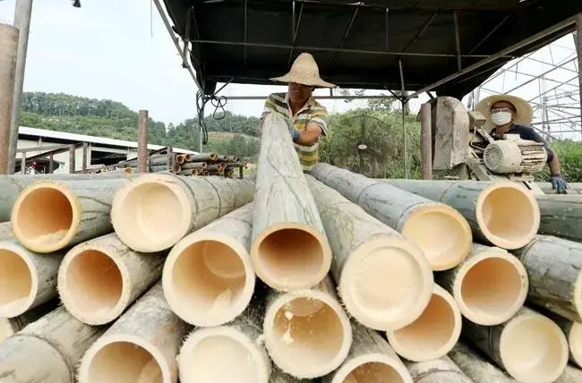 湖南省两地致富经验获农业农村部推介